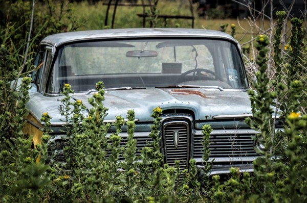 Random Image of the Week #51: Hidden – Abandoned Car in the Weeds