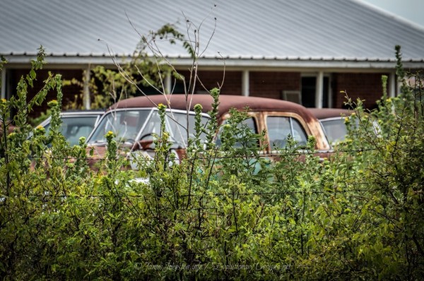 Random Image of the Week #52: Off Limits – Abandoned Car Behind the Fence