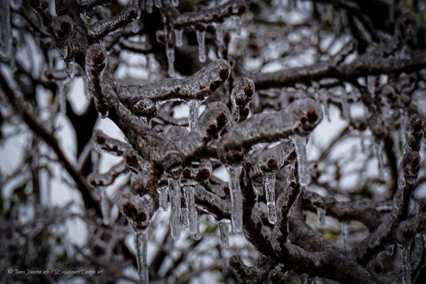 Random Picture of the Week #7 – Ice Storm