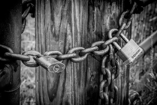 Random Picture of the Week #30: On Lock Down–Padlocks and Chains
