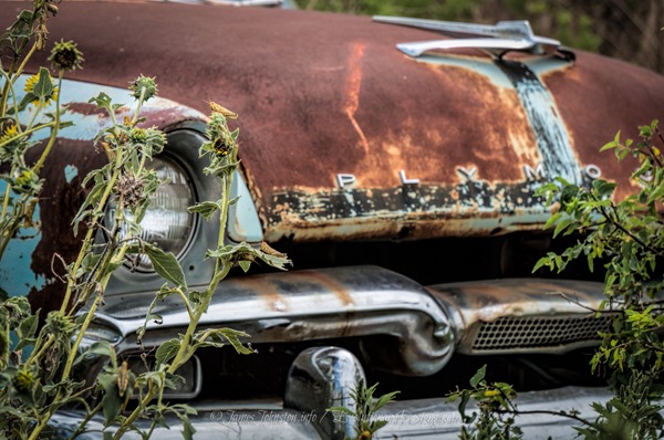 Abandoned Plymouth